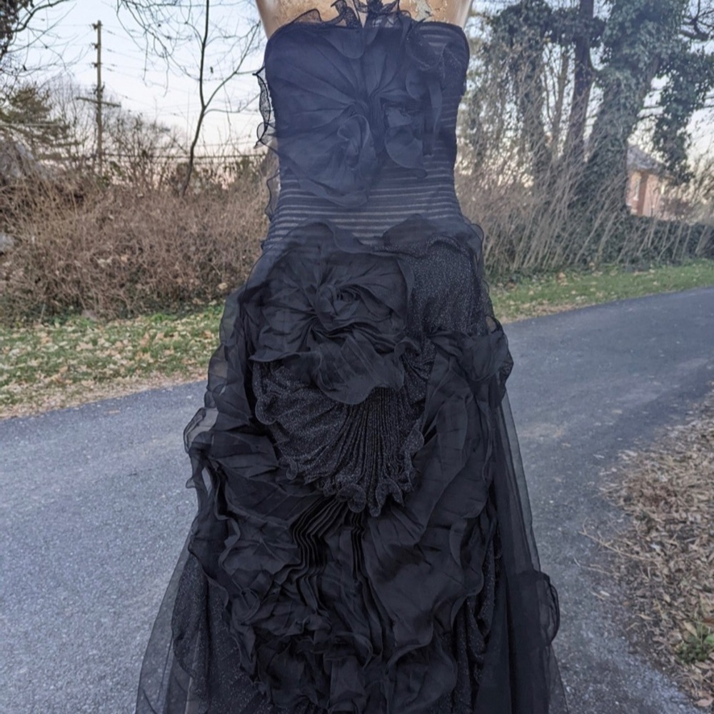 Beautiful black, strapless, evening gown